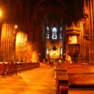 Freiburger M&uuml;nster